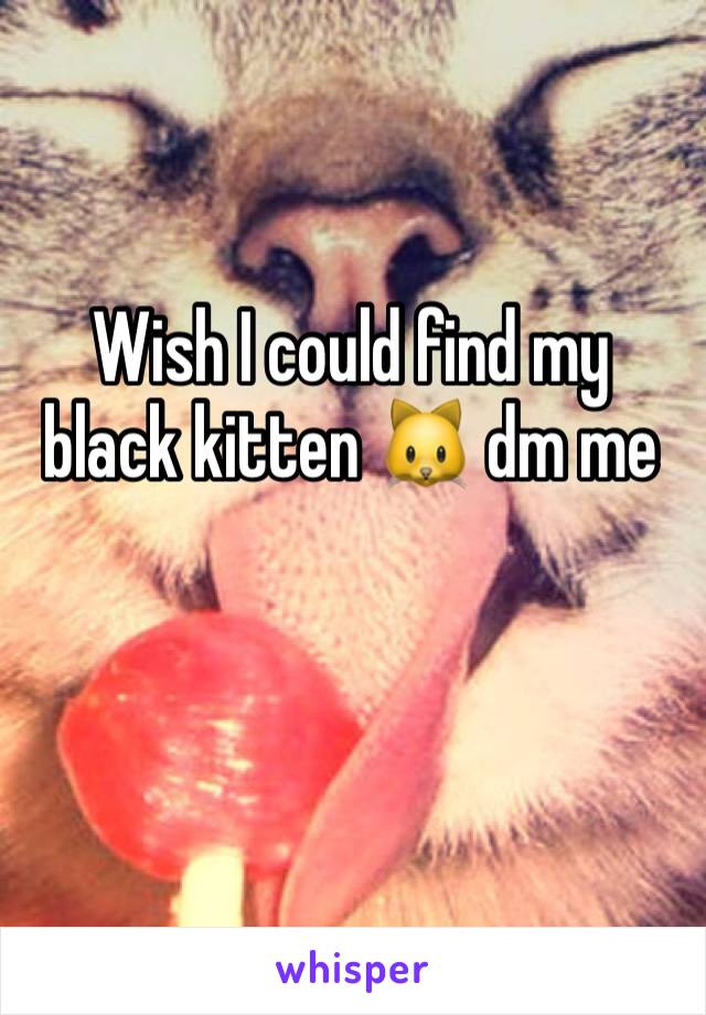 Wish I could find my black kitten 🐱 dm me