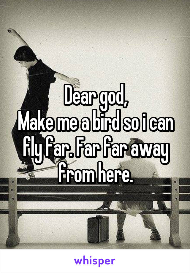 Dear god,
Make me a bird so i can fly far. Far far away from here.