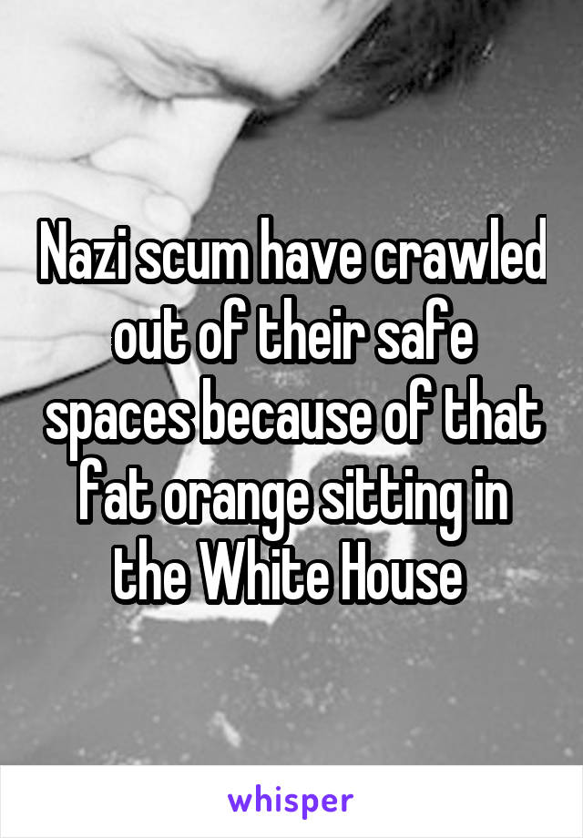 Nazi scum have crawled out of their safe spaces because of that fat orange sitting in the White House 