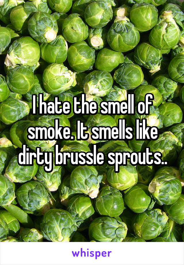 I hate the smell of smoke. It smells like dirty brussle sprouts..