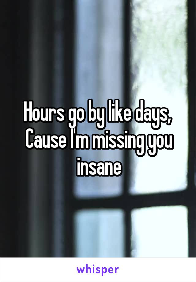 Hours go by like days, 
Cause I'm missing you insane