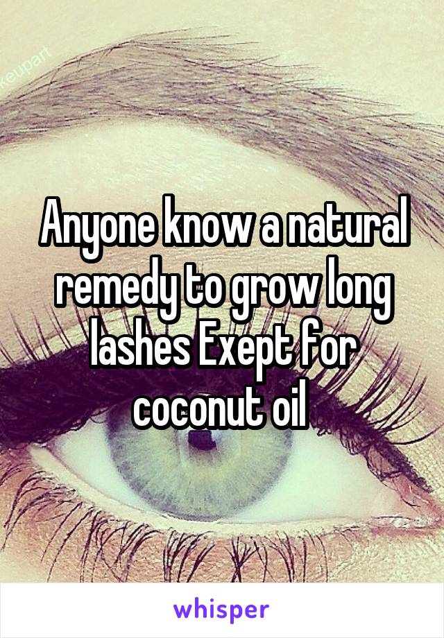 Anyone know a natural remedy to grow long lashes Exept for coconut oil 