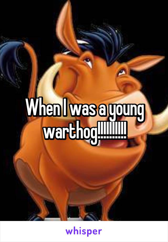 When I was a young warthog!!!!!!!!!!