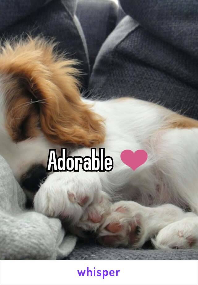 Adorable ❤️