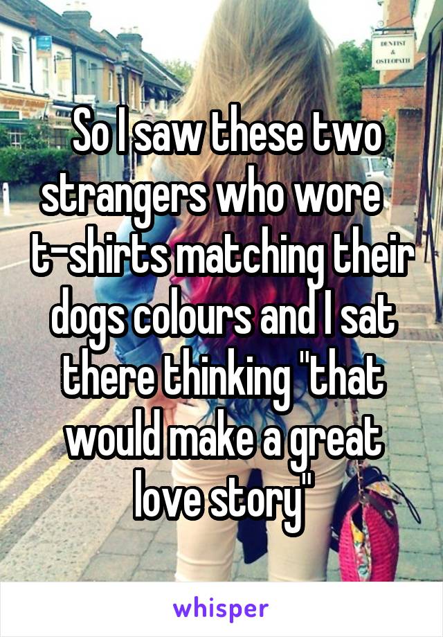  So I saw these two strangers who wore    t-shirts matching their dogs colours and I sat there thinking "that would make a great love story"