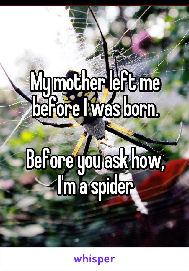 My mother left me before I was born.

Before you ask how, I'm a spider