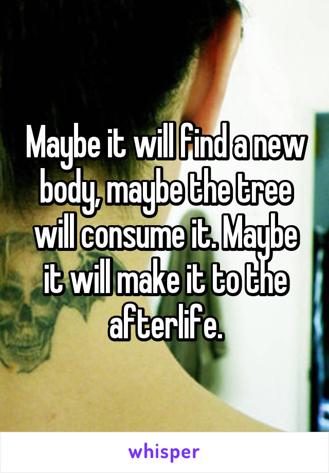 Maybe it will find a new body, maybe the tree will consume it. Maybe it will make it to the afterlife.