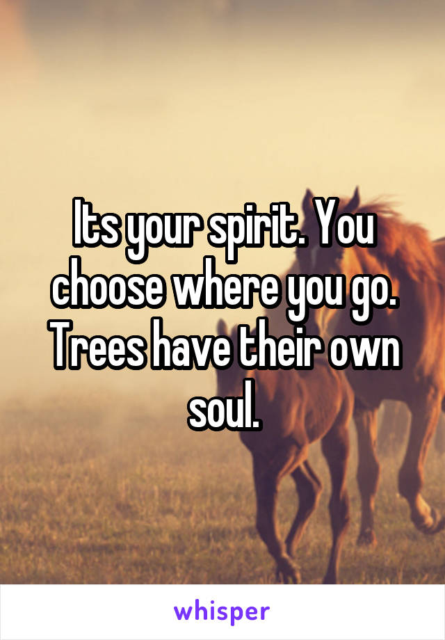 Its your spirit. You choose where you go. Trees have their own soul.