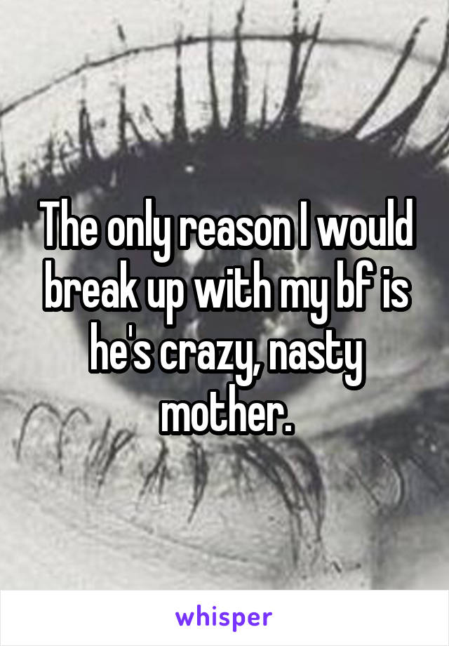 The only reason I would break up with my bf is he's crazy, nasty mother.