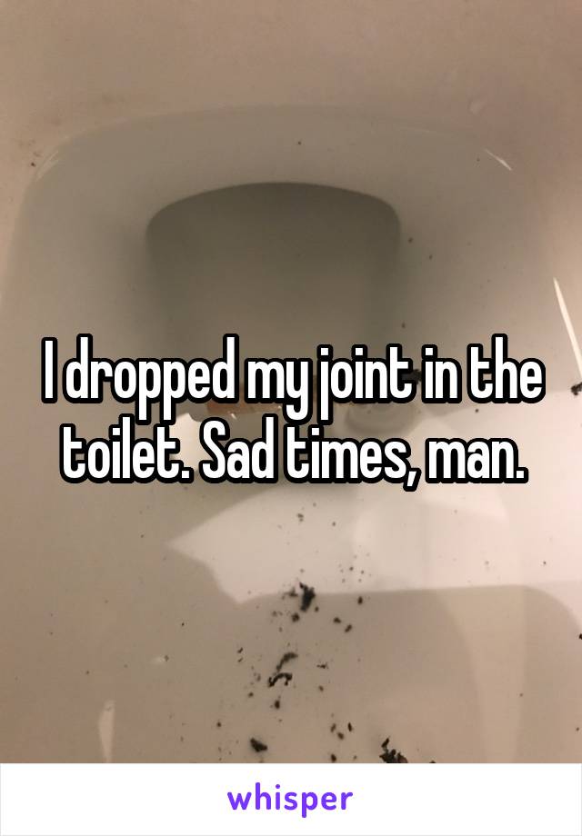 I dropped my joint in the toilet. Sad times, man.