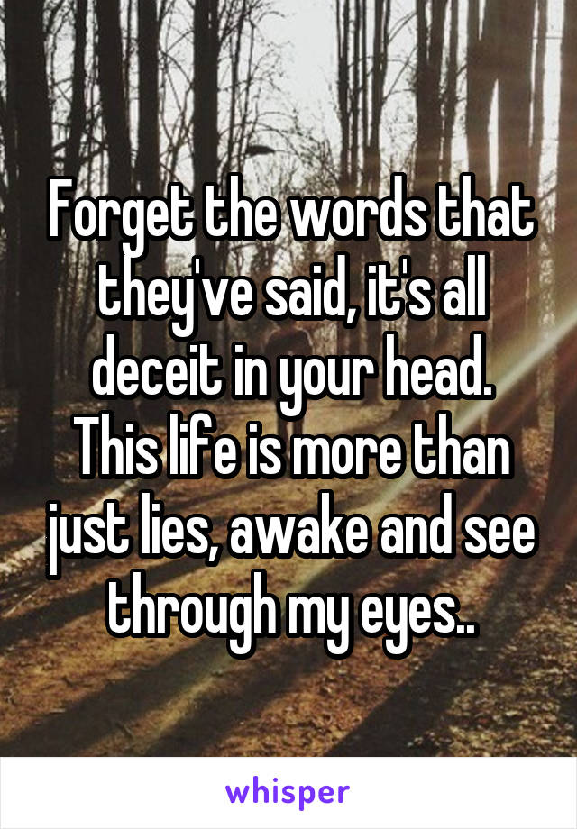 Forget the words that they've said, it's all deceit in your head.
This life is more than just lies, awake and see through my eyes..