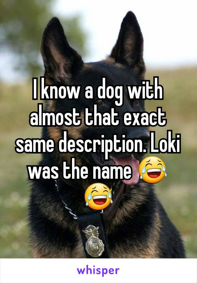 I know a dog with almost that exact same description. Loki was the name 😂😂