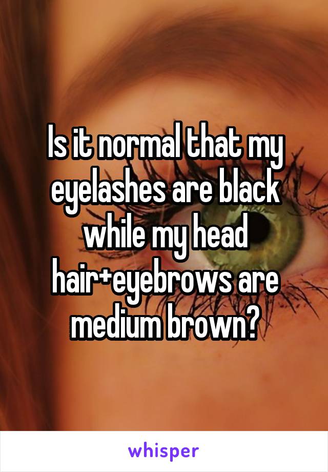 Is it normal that my eyelashes are black while my head hair+eyebrows are medium brown?