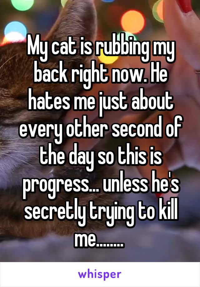 My cat is rubbing my back right now. He hates me just about every other second of the day so this is progress... unless he's secretly trying to kill me........ 
