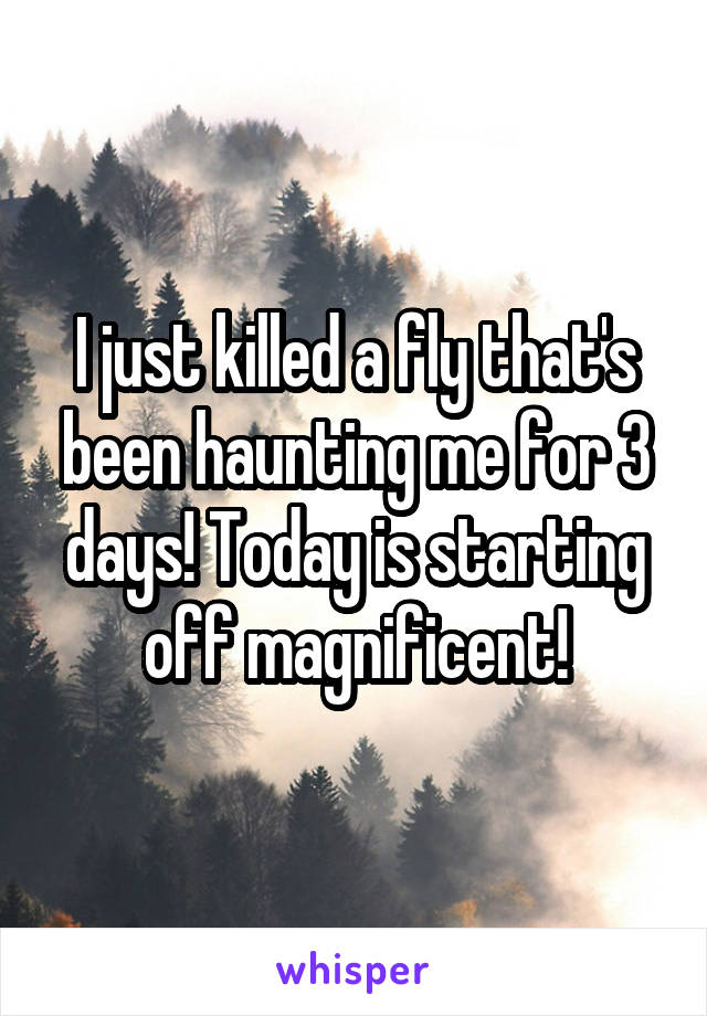I just killed a fly that's been haunting me for 3 days! Today is starting off magnificent!