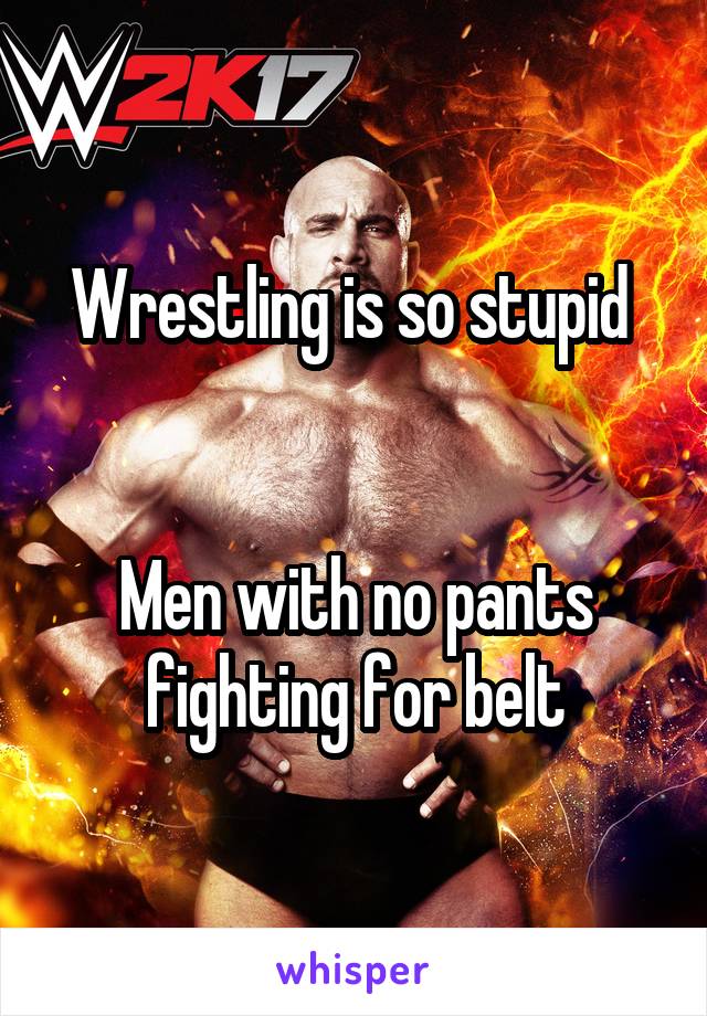 Wrestling is so stupid 


Men with no pants fighting for belt