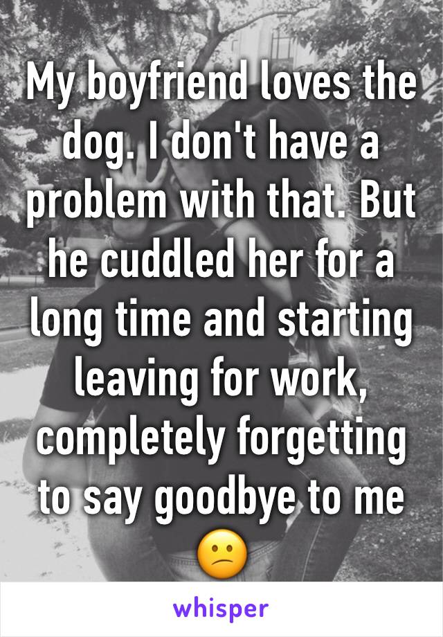 My boyfriend loves the dog. I don't have a problem with that. But he cuddled her for a long time and starting leaving for work, completely forgetting to say goodbye to me 😕