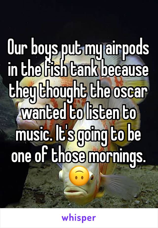 Our boys put my airpods in the fish tank because they thought the oscar wanted to listen to music. It's going to be one of those mornings.
🙃