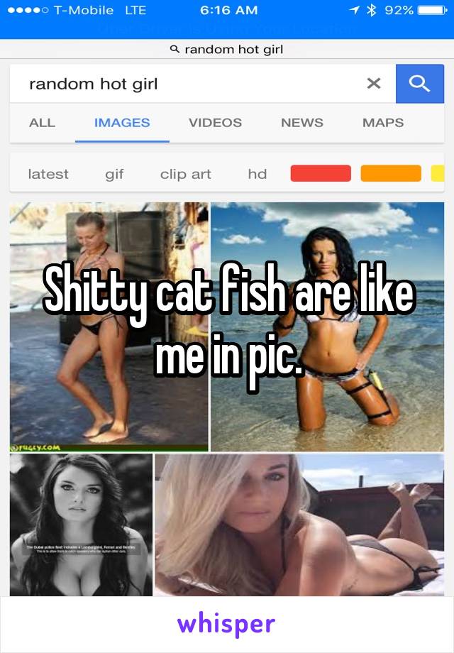 Shitty cat fish are like me in pic.