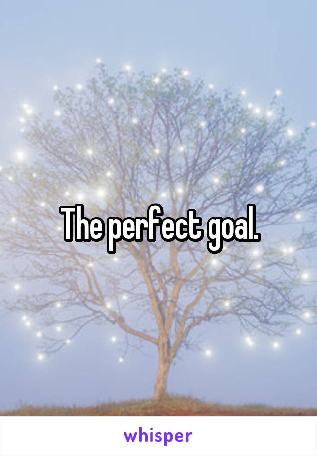 The perfect goal.