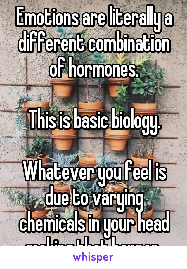 Emotions are literally a different combination of hormones.

This is basic biology.

Whatever you feel is due to varying chemicals in your head making that happen.