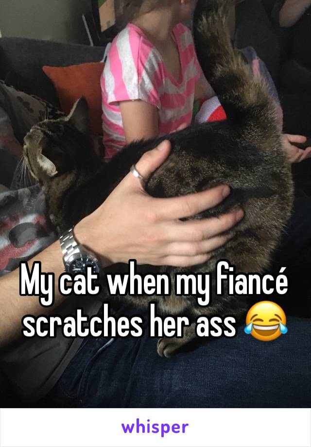 My cat when my fiancé scratches her ass 😂