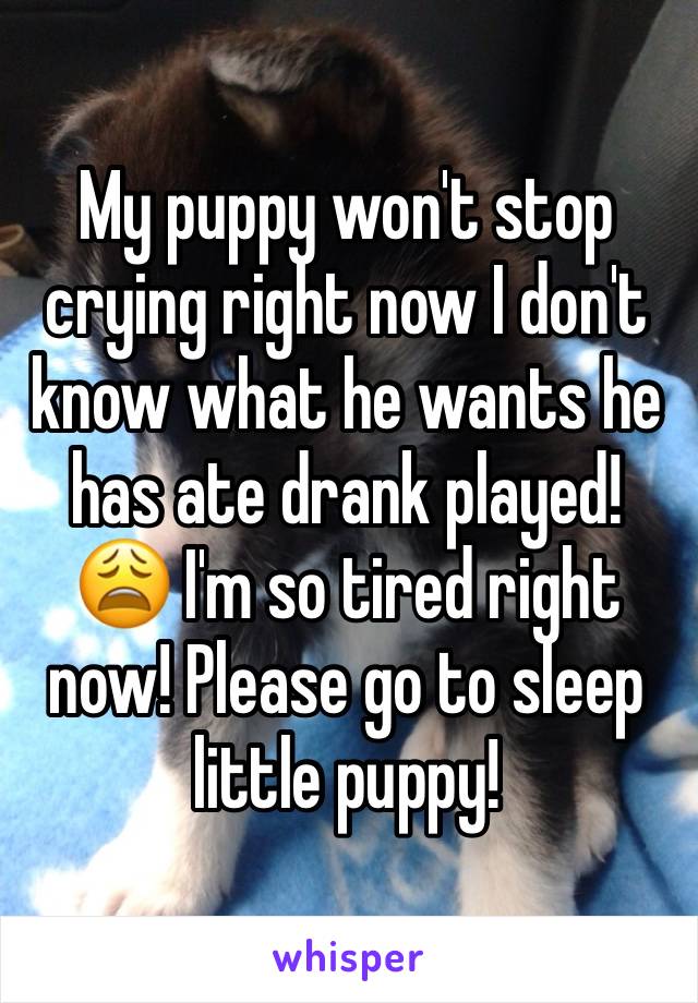 My puppy won't stop crying right now I don't know what he wants he has ate drank played! 😩 I'm so tired right now! Please go to sleep little puppy!