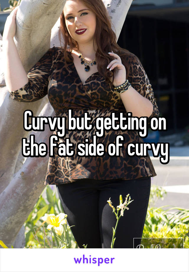 Curvy but getting on the fat side of curvy