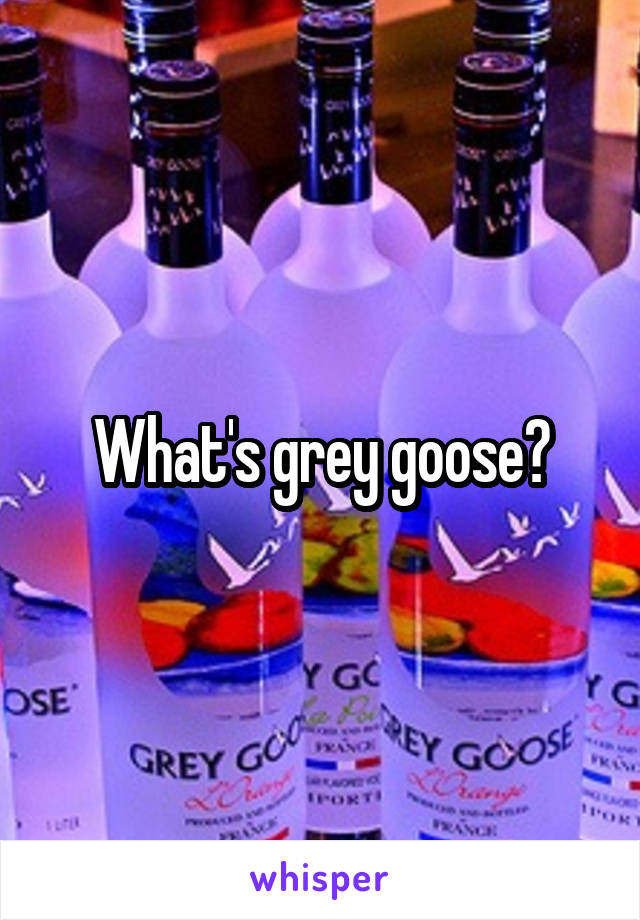 What's grey goose?