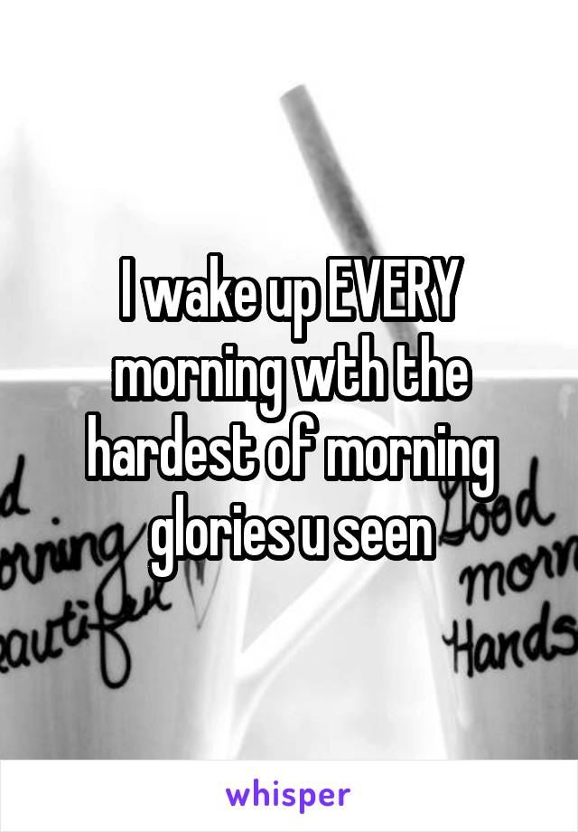 I wake up EVERY morning wth the hardest of morning glories u seen
