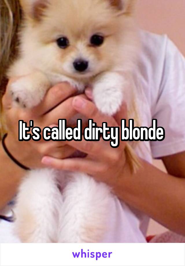 It's called dirty blonde 