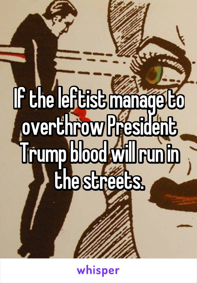 If the leftist manage to overthrow President Trump blood will run in the streets.