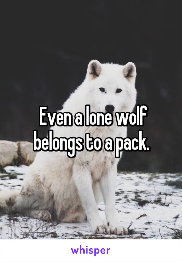  Even a lone wolf belongs to a pack.