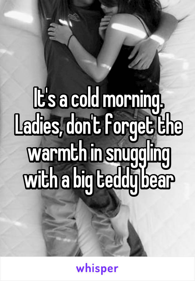It's a cold morning. Ladies, don't forget the warmth in snuggling with a big teddy bear