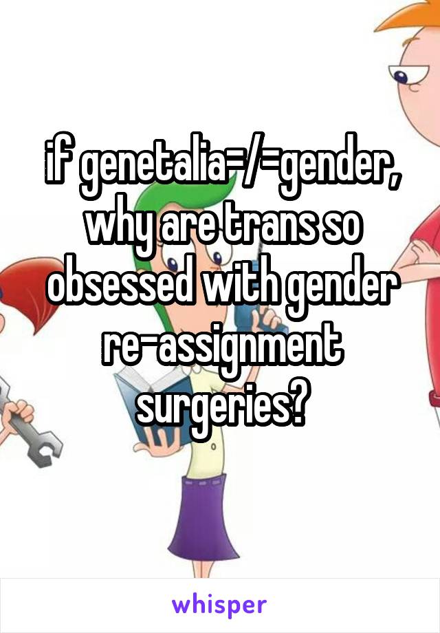 if genetalia=/=gender, why are trans so obsessed with gender re-assignment surgeries?
