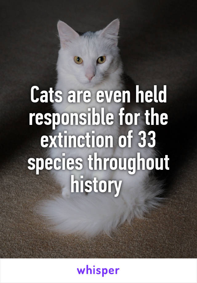 Cats are even held responsible for the extinction of 33 species throughout history 