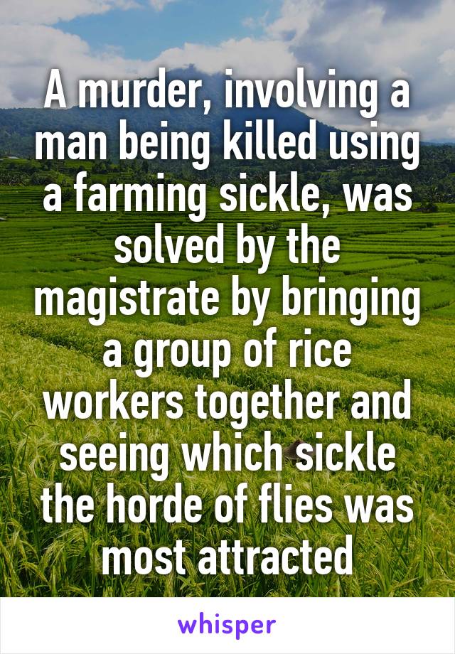A murder, involving a man being killed using a farming sickle, was solved by the magistrate by bringing a group of rice workers together and seeing which sickle the horde of flies was most attracted