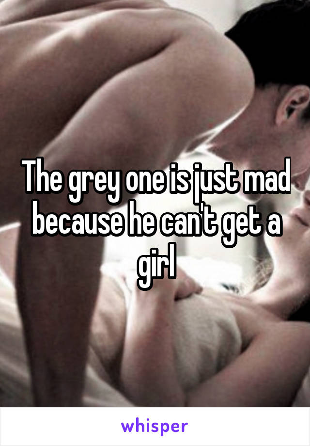 The grey one is just mad because he can't get a girl