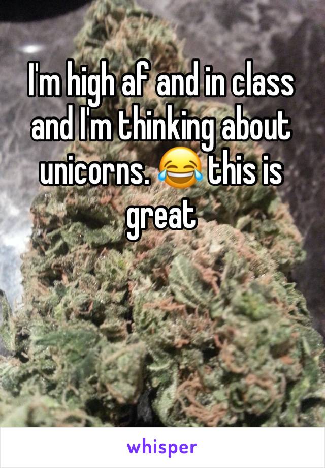 I'm high af and in class and I'm thinking about unicorns. 😂 this is great 