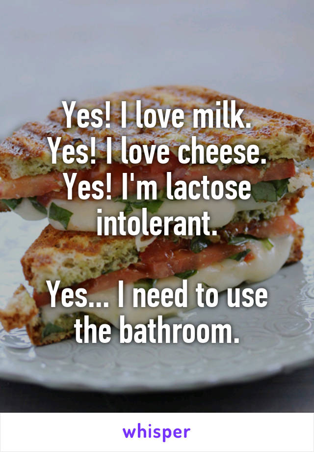 Yes! I love milk.
Yes! I love cheese.
Yes! I'm lactose intolerant.

Yes... I need to use the bathroom.
