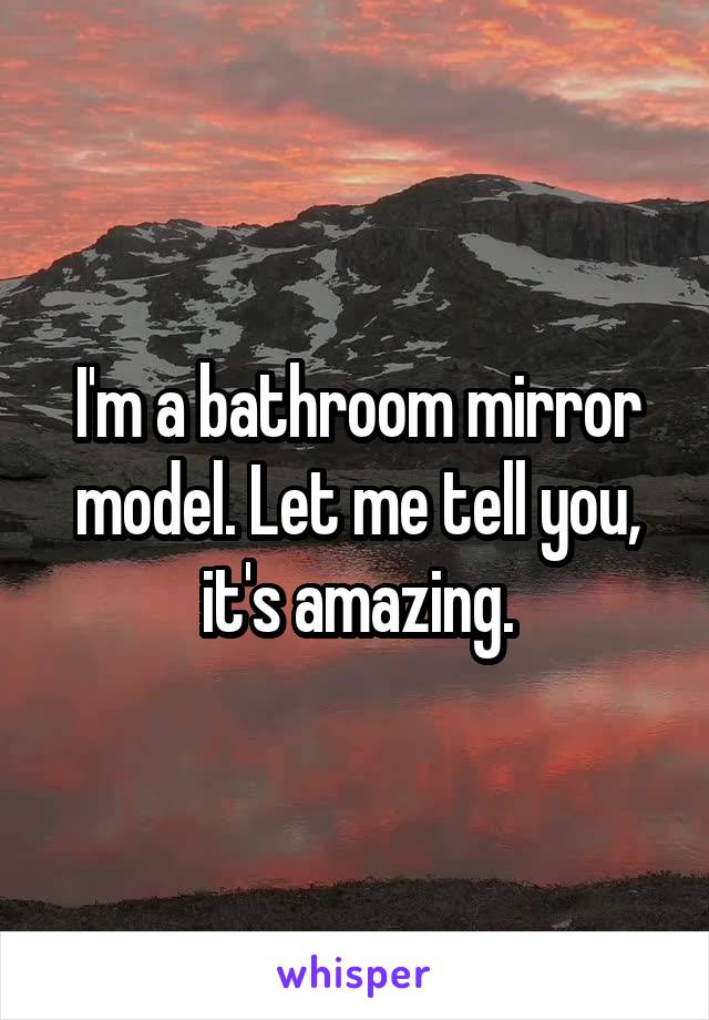 I'm a bathroom mirror model. Let me tell you, it's amazing.