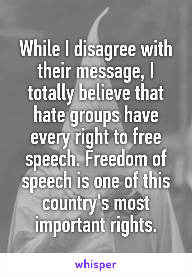 While I disagree with their message, I totally believe that hate groups have every right to free speech. Freedom of speech is one of this country's most important rights.