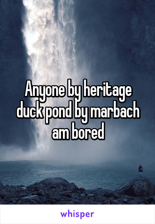 Anyone by heritage duck pond by marbach am bored