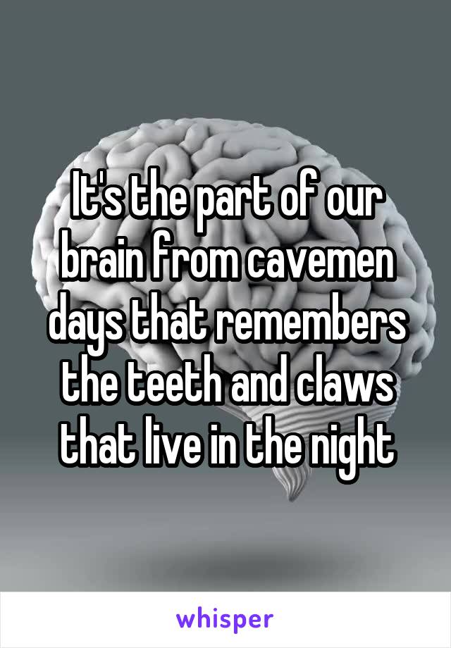 It's the part of our brain from cavemen days that remembers the teeth and claws that live in the night