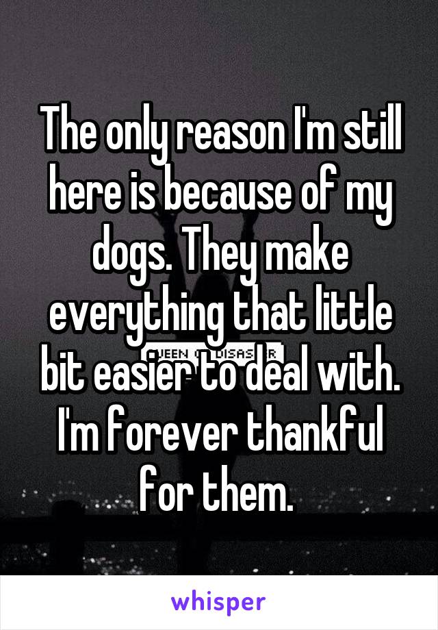 The only reason I'm still here is because of my dogs. They make everything that little bit easier to deal with. I'm forever thankful for them. 