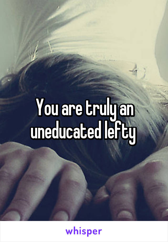 You are truly an uneducated lefty 