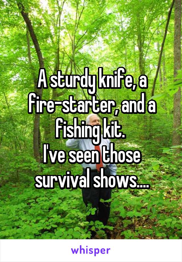 A sturdy knife, a fire-starter, and a fishing kit. 
I've seen those survival shows....