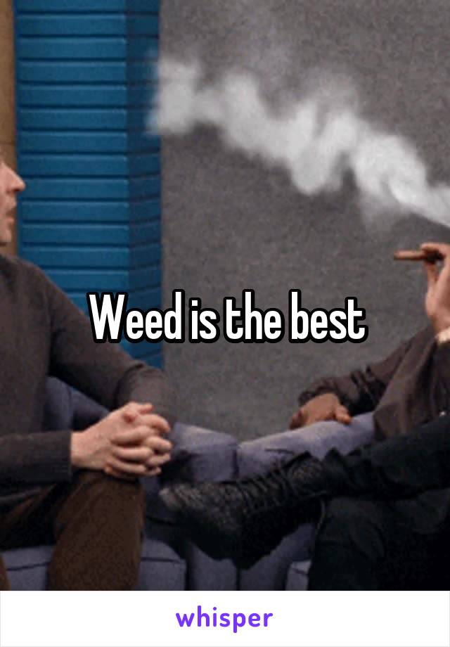 Weed is the best