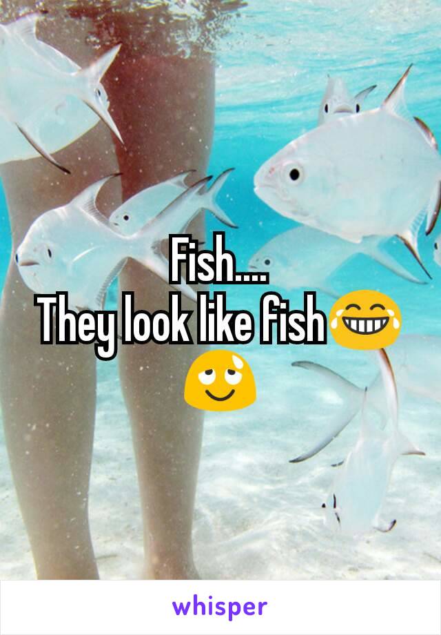 Fish....
They look like fish😂
😌