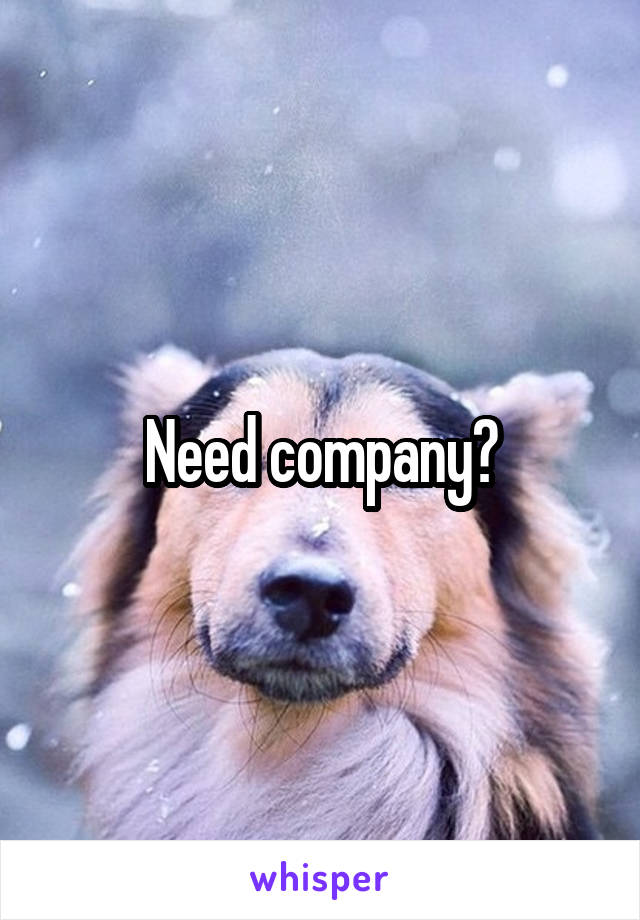 Need company?